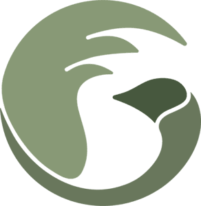 Green Goose